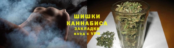 СК Краснослободск