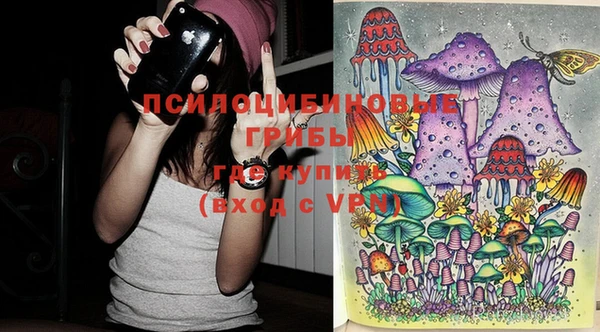 СК Краснослободск