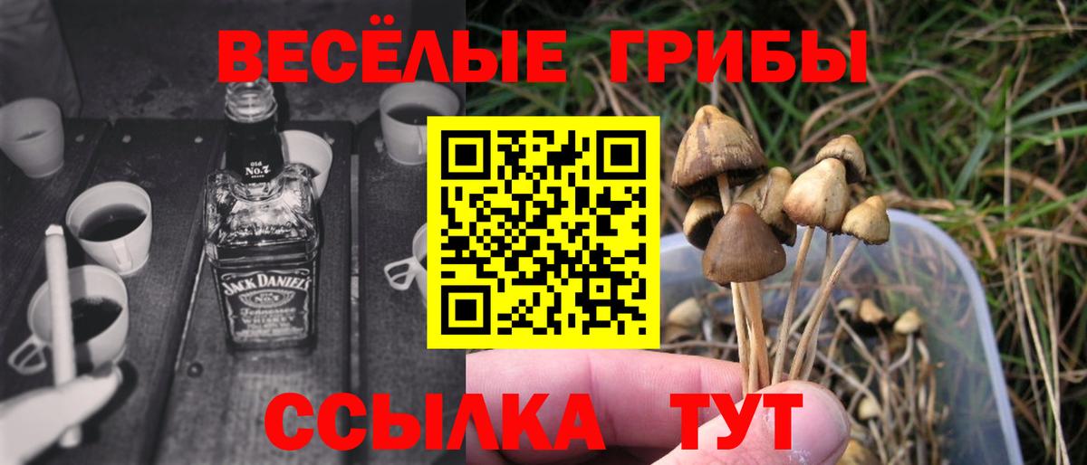 Галлюциногенные грибы мицелий Усинск